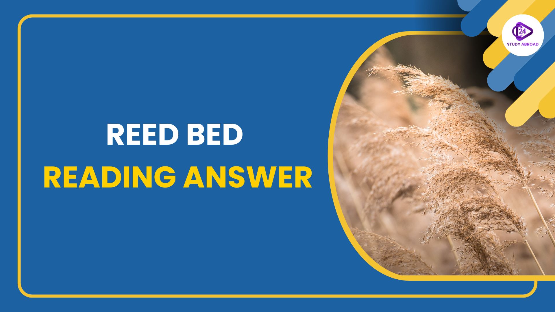 Reed Bed Reading Answer 1